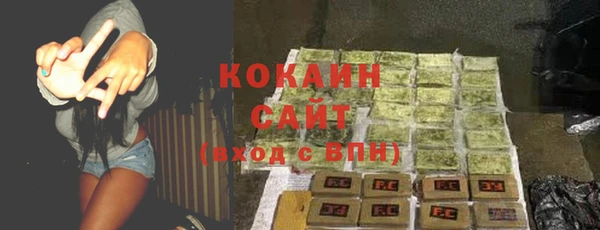 стафф Россошь