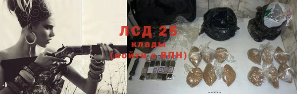 стафф Россошь