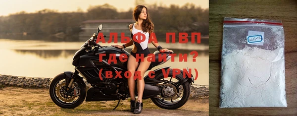стафф Россошь