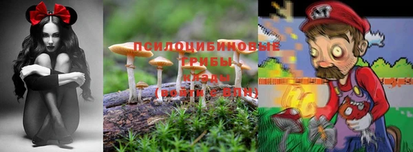 гидропоника Рославль