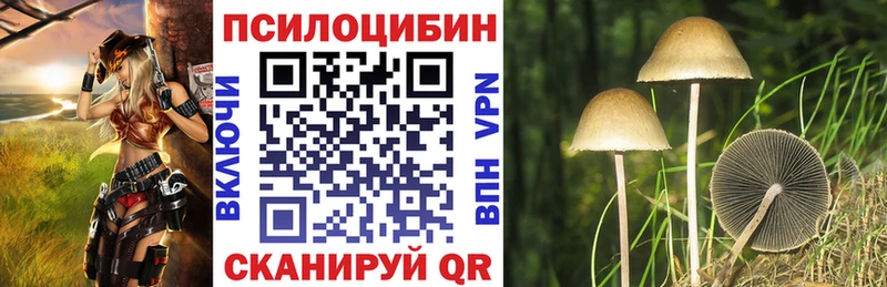 Галлюциногенные грибы мицелий  mega вход  Костомукша 